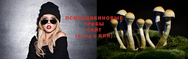 мдма Михайловск