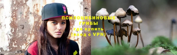 прущий лед Надым