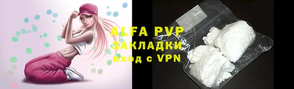 молекула духа Михайлов