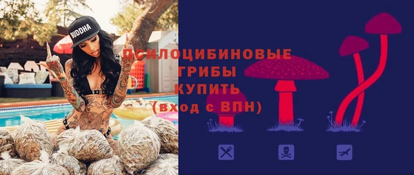 mix Горнозаводск