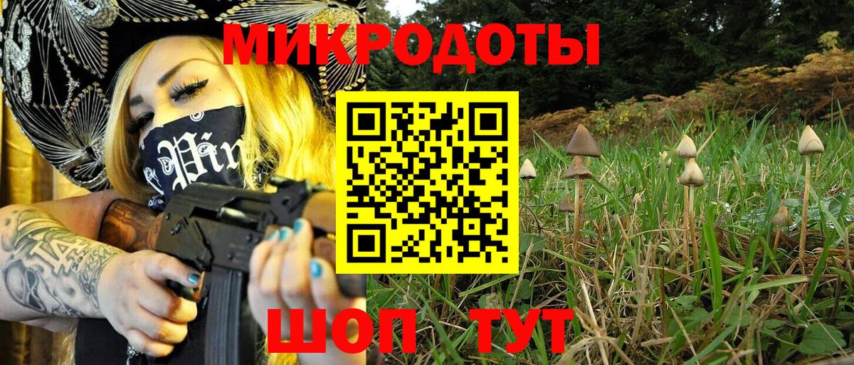 Калач-на-Дону  Галлюциногенные грибы прущие грибы  Вход с VPN  Галлюциногенные грибы Psilocybine cubensis 